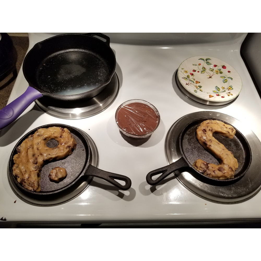 Brookie SkOokie Experiment 01