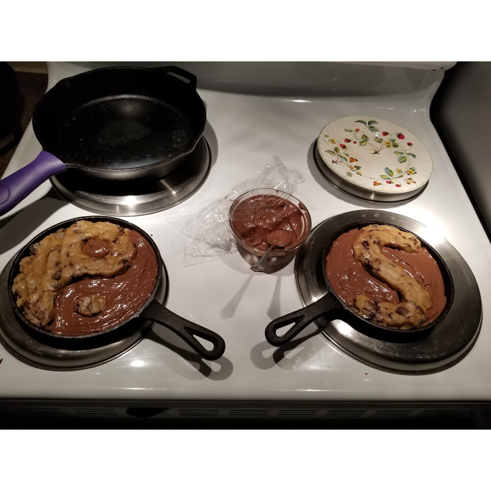 Brookie SkOokie Experiment 02