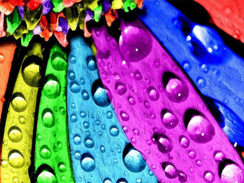 Photo Graphic | Vibrant-Hues